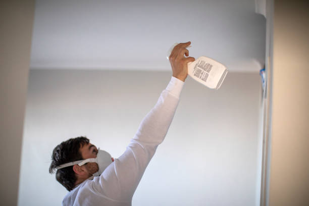 Mold Removal and Inspection in Southmont, NC
