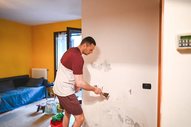 Best Certified Mold Removal  in Southmont, NC
